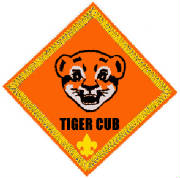 tiger6.jpg